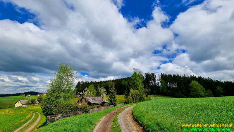 Frühlingsfoto