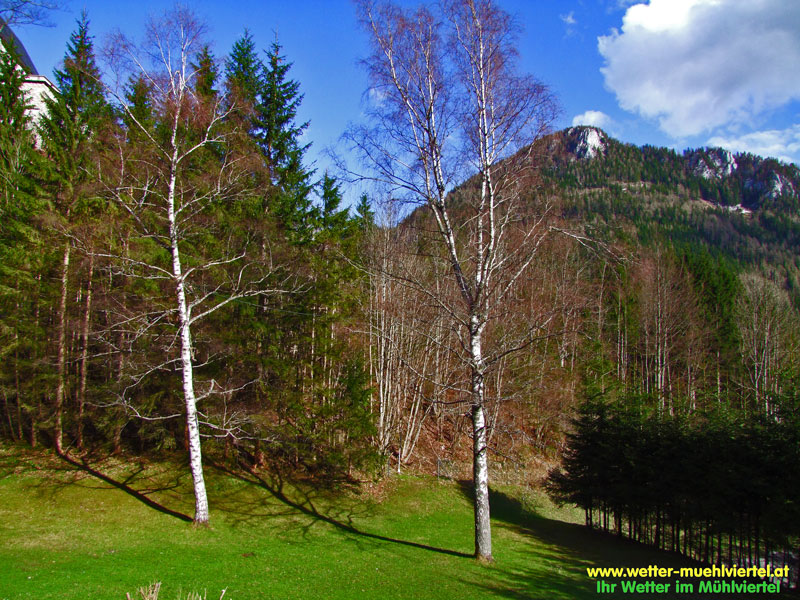 Frühlingsfoto