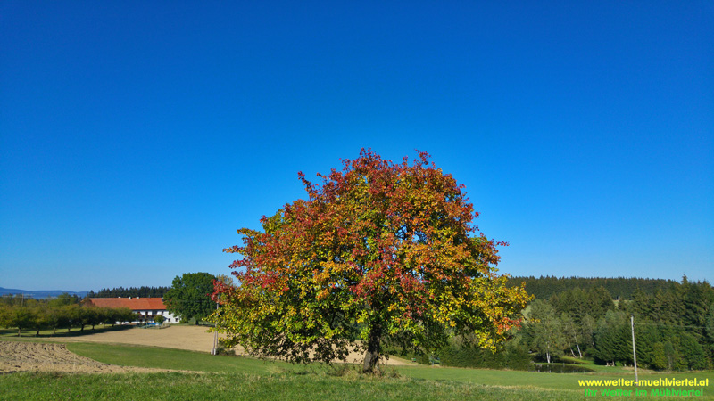 Herbstfoto