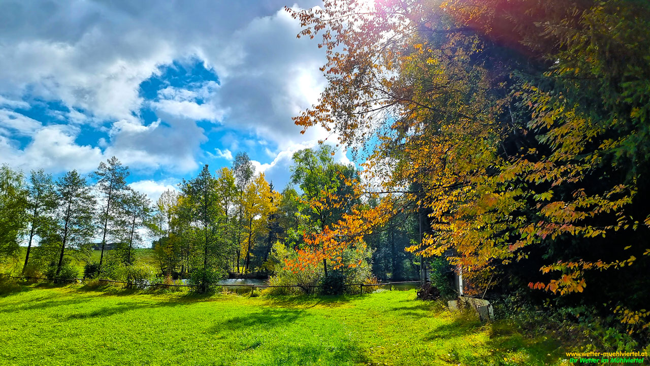 Herbstfoto