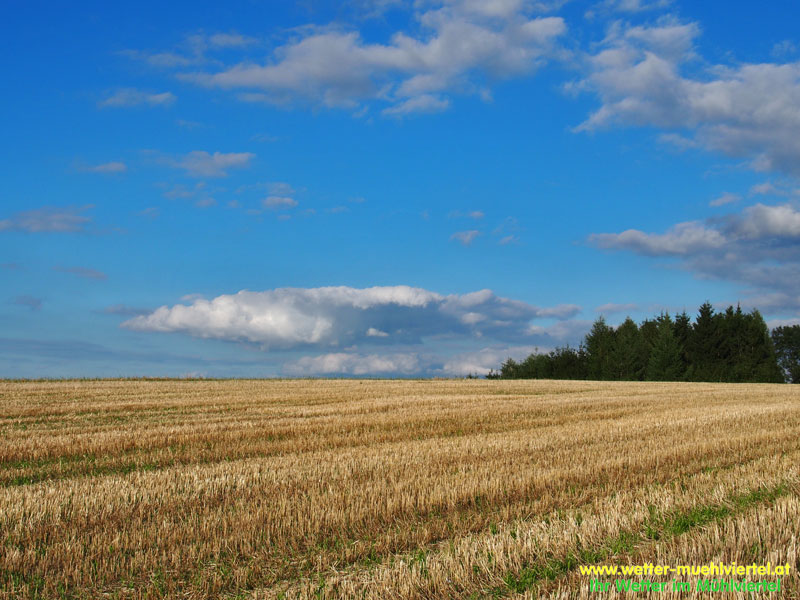 Herbstfoto