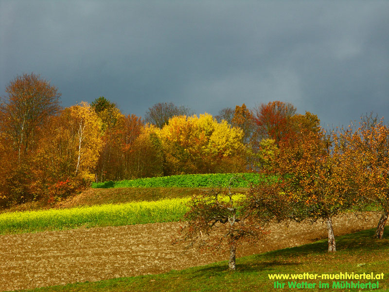 Herbstfoto