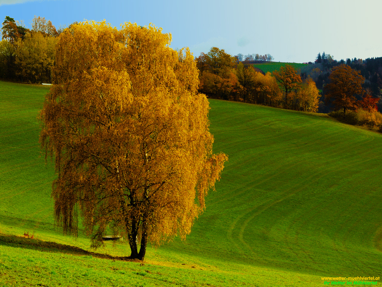 Herbstfoto
