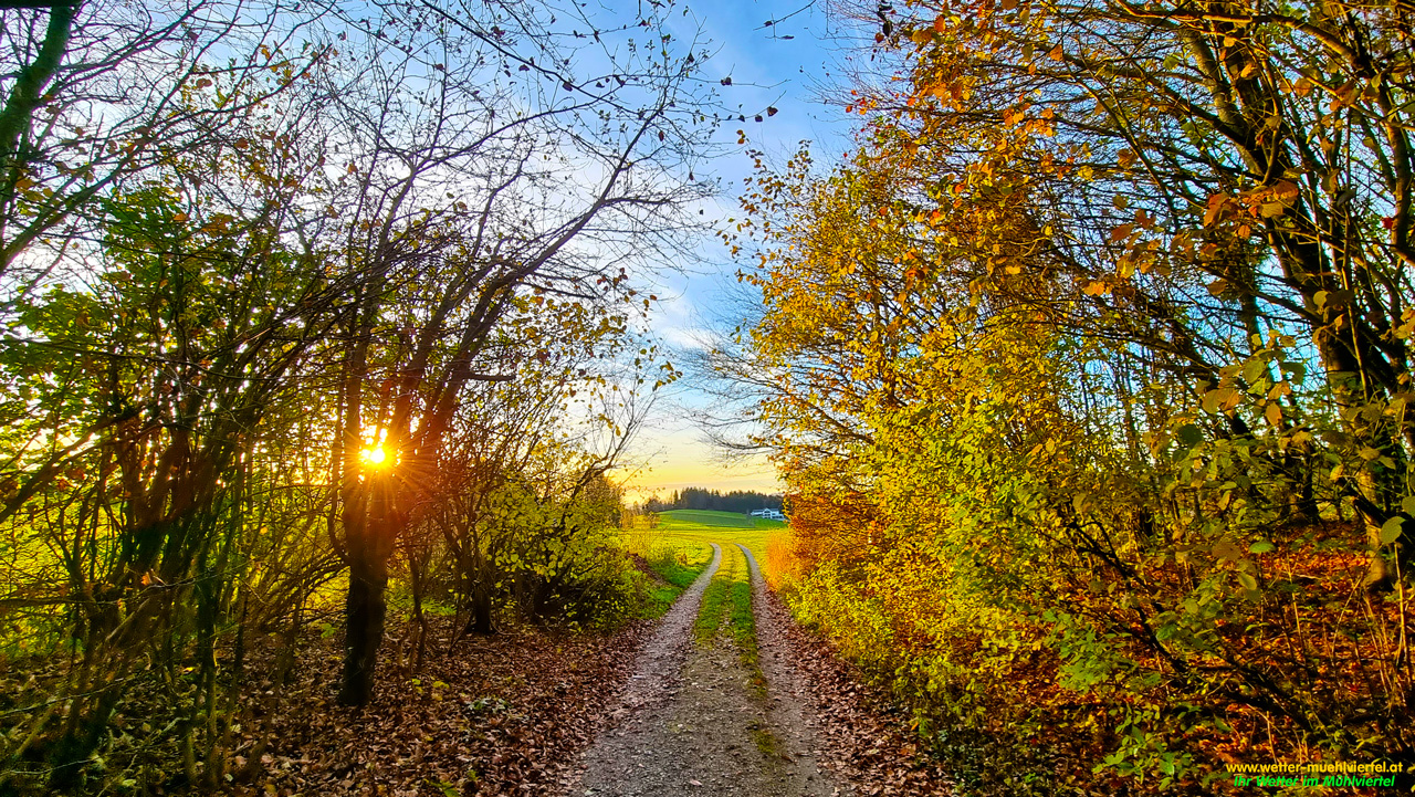 Herbstfoto