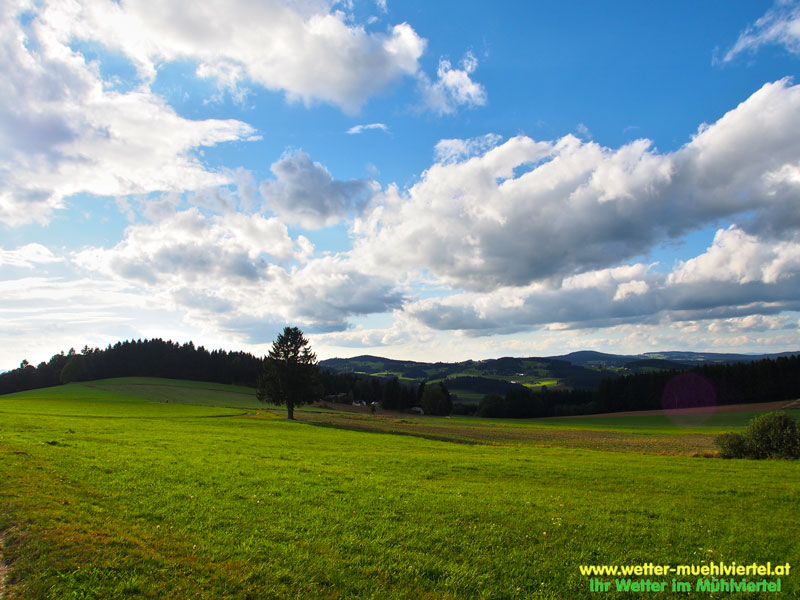Herbstfoto