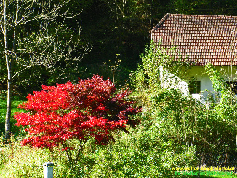 Herbstfoto