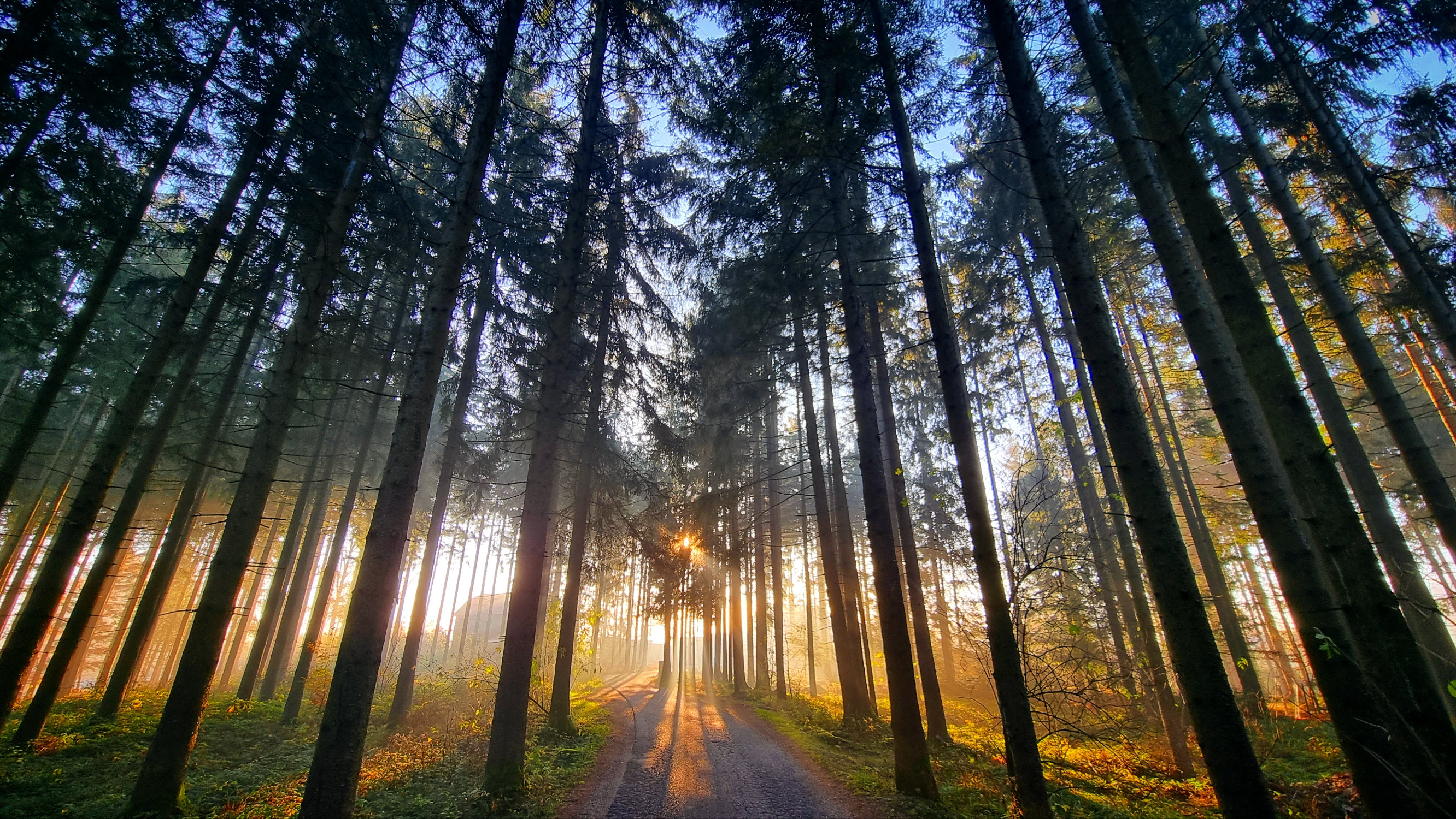 Herbstfoto