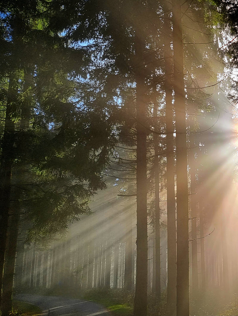 Herbstfoto