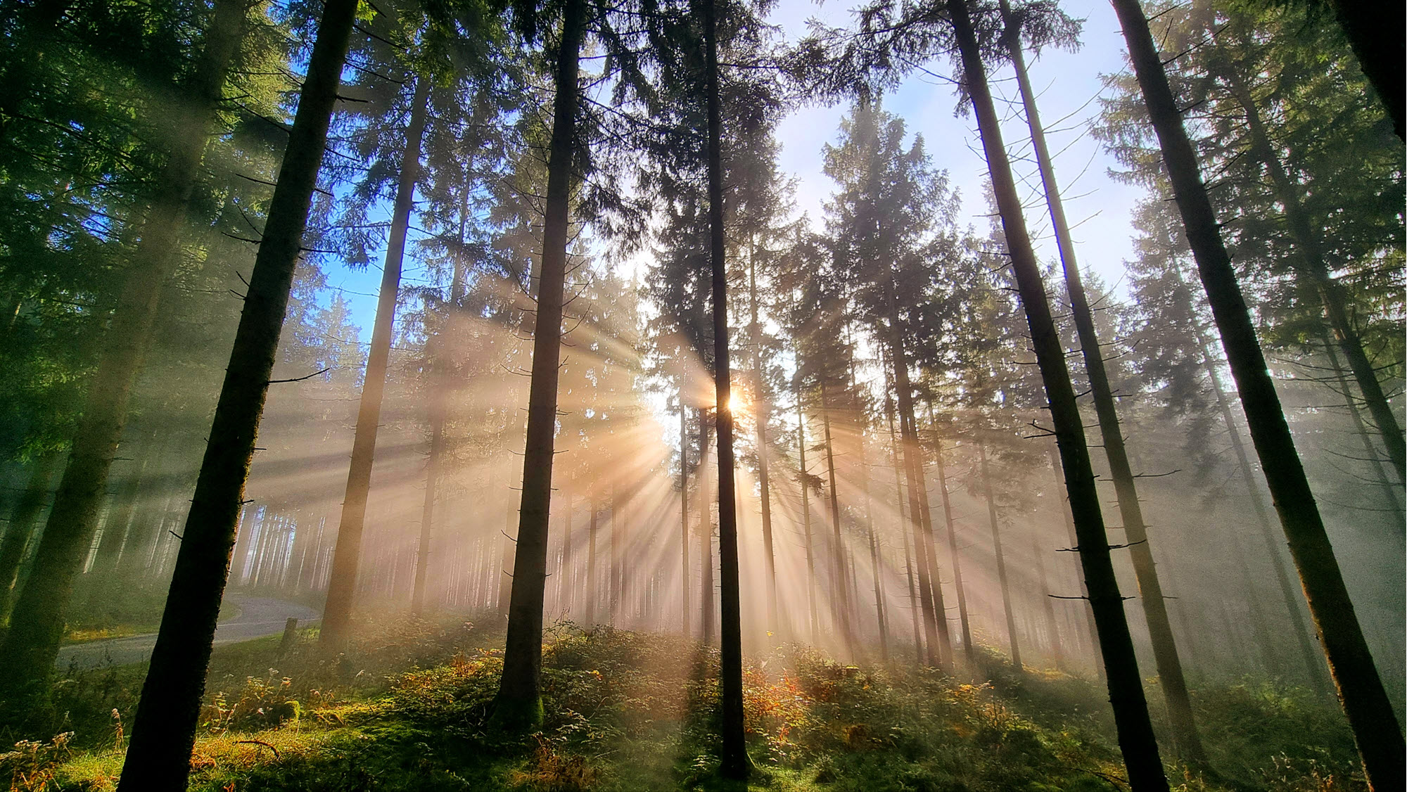 Herbstfoto