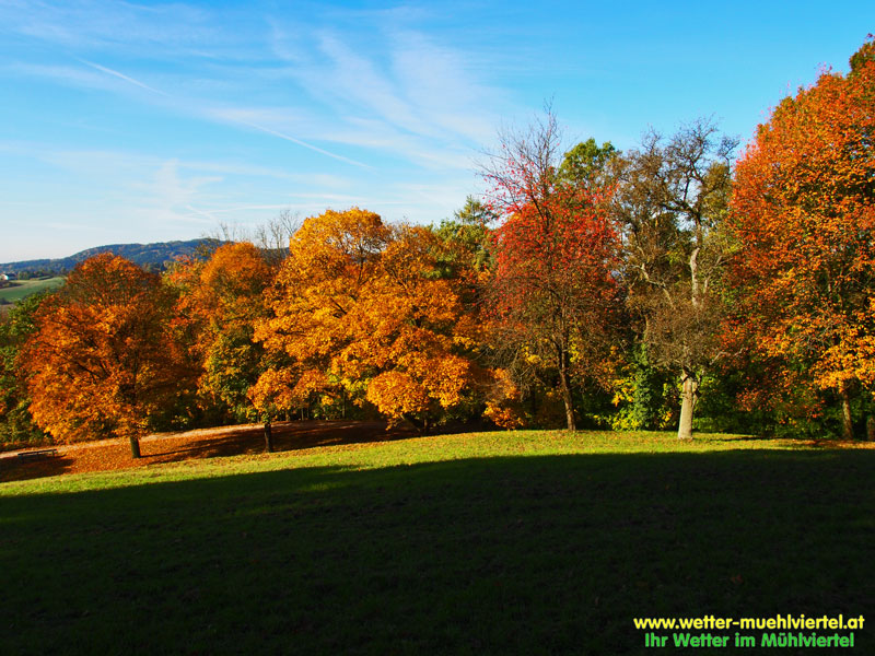 Herbstfoto