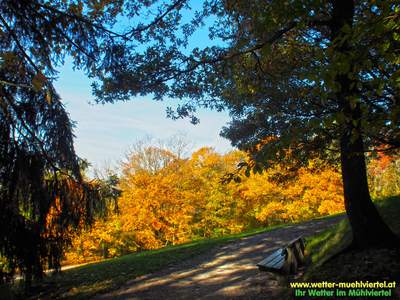 Herbstfoto