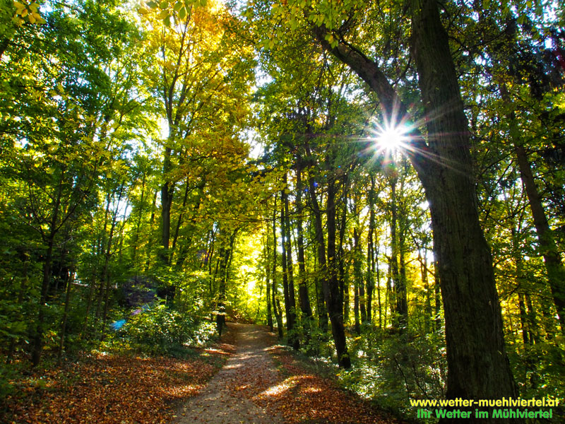 Herbstfoto