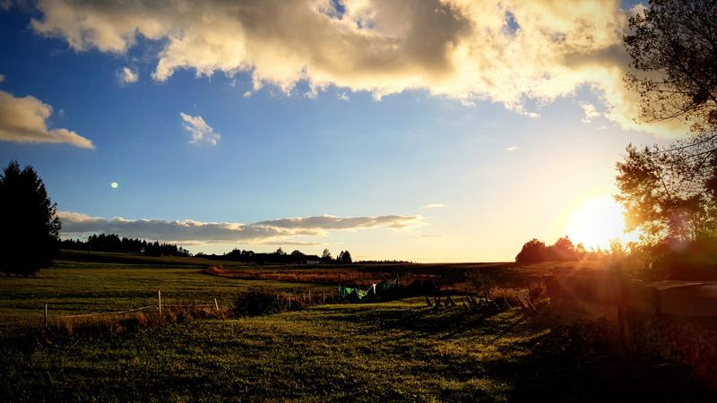 Herbstfoto