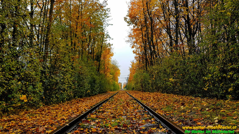 Herbstfoto