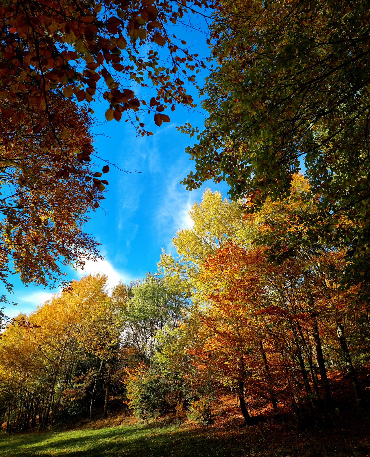 Herbstfoto