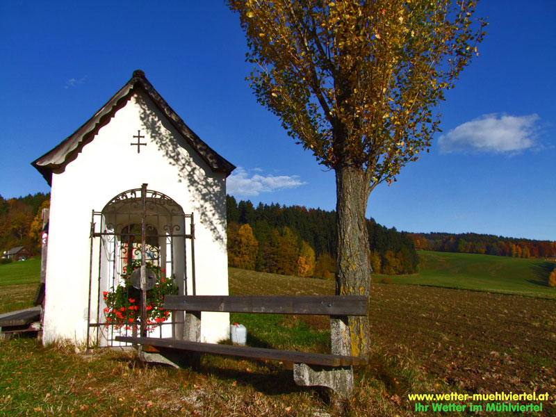 Herbstfoto