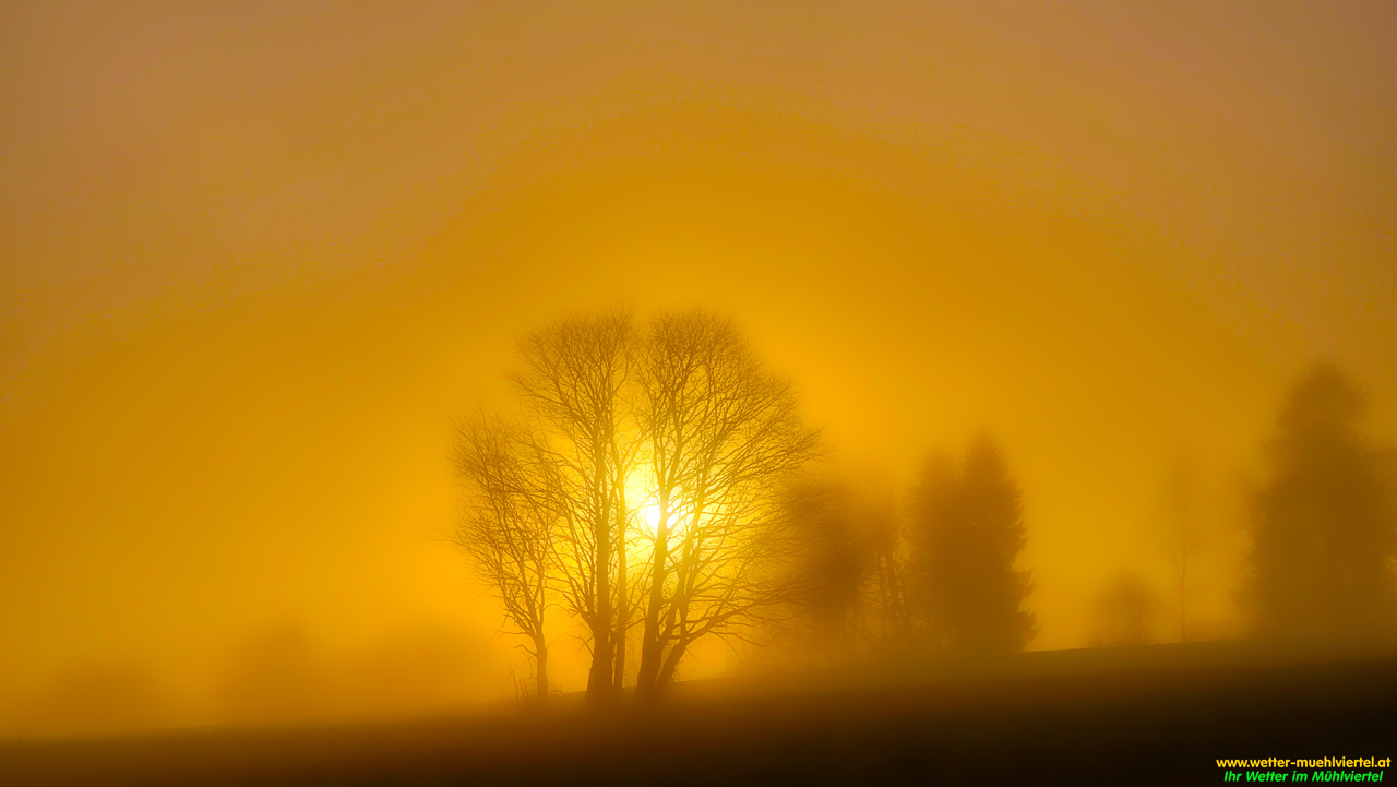Nebelfoto