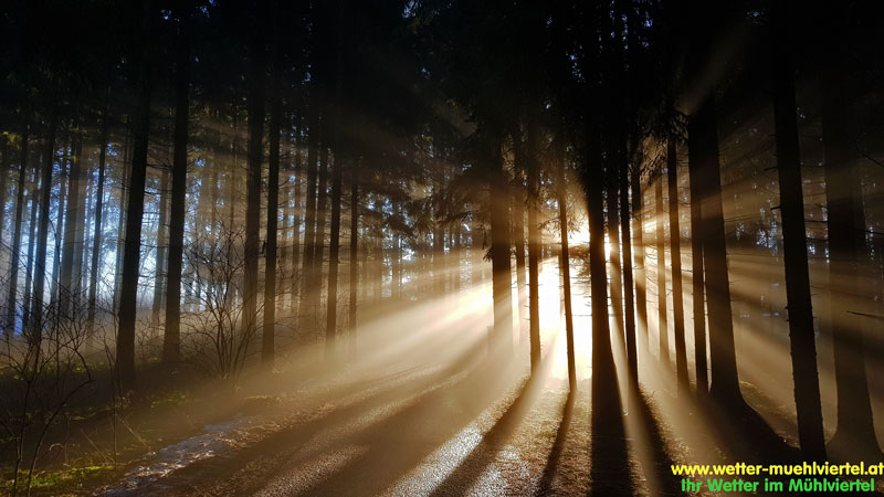 Nebelfoto
