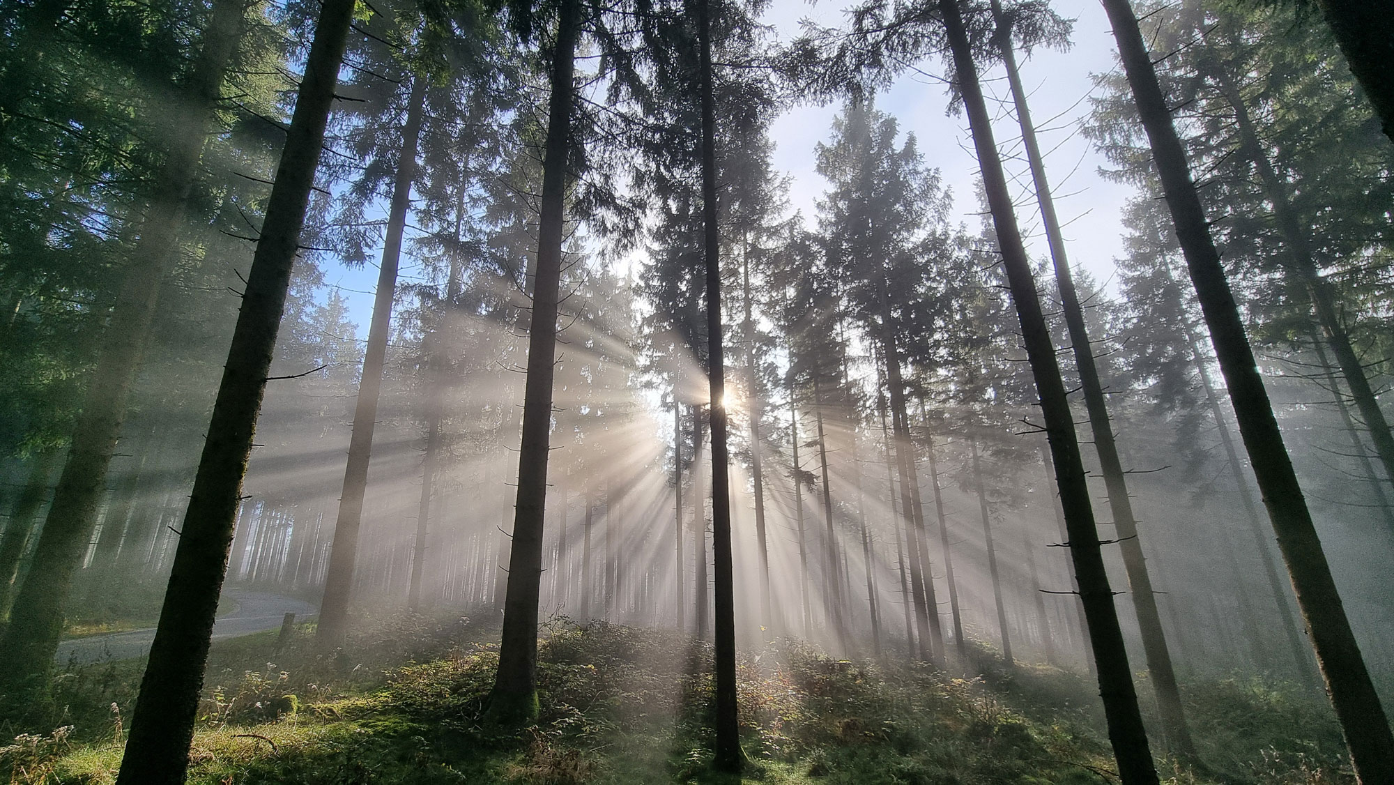 Nebelfoto