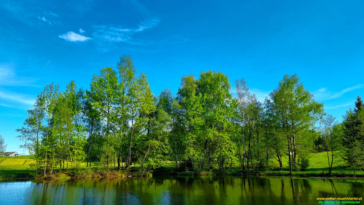 Sommerfoto