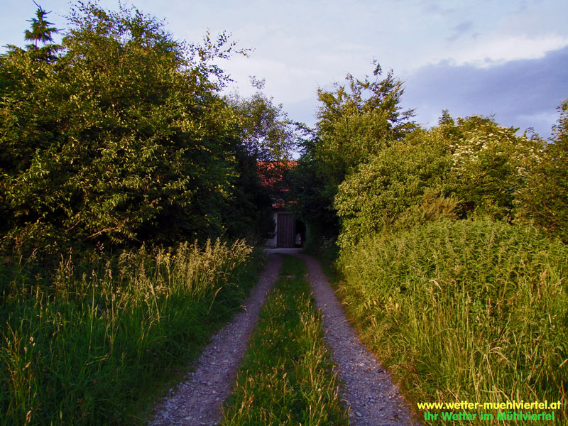 Sommerfoto