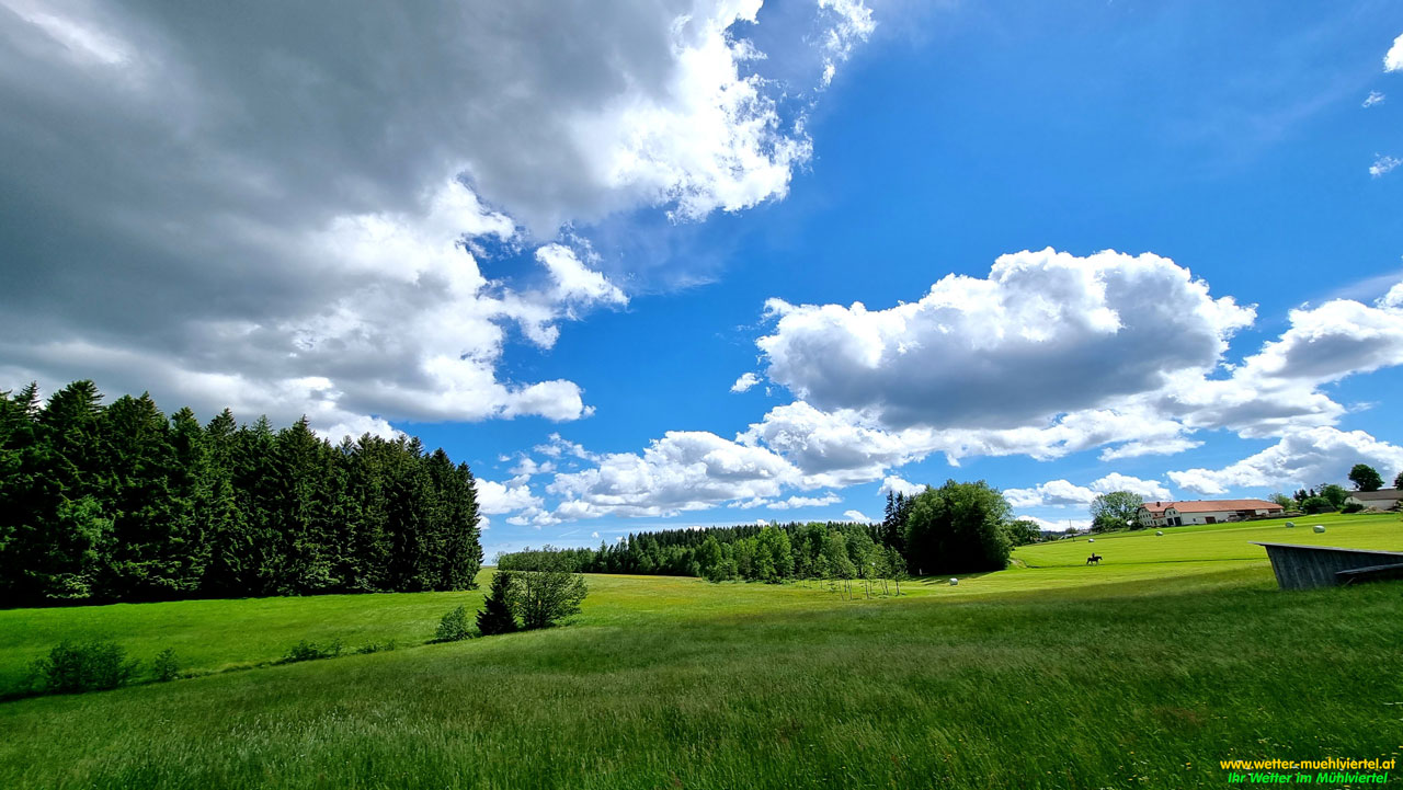 Sommerfoto
