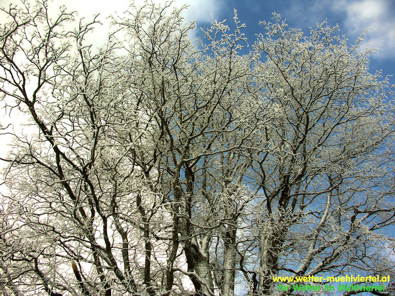 Winterfoto