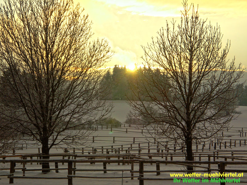 Winterfoto