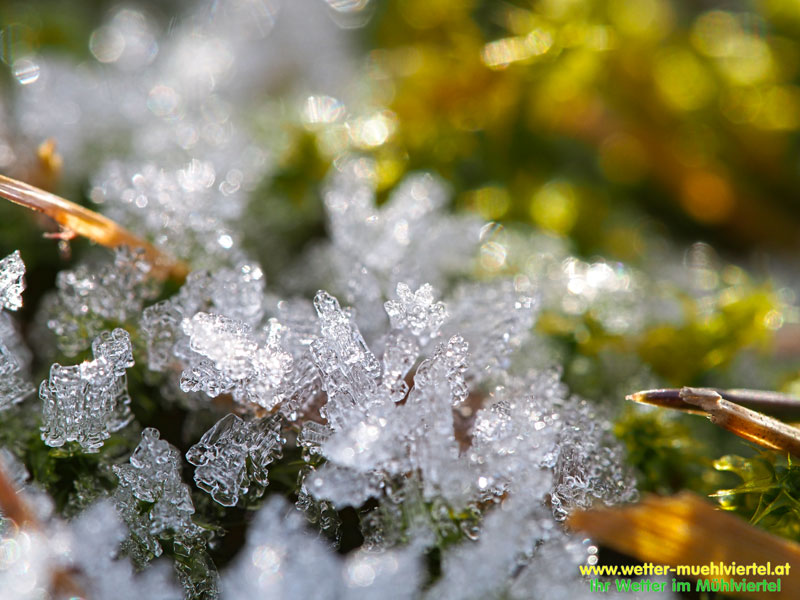 Winterfoto