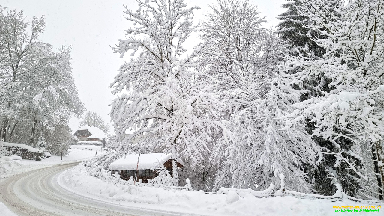 Winterfoto