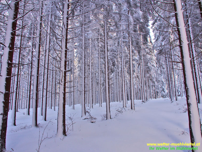 Winterfoto