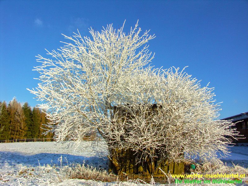 Winterfoto