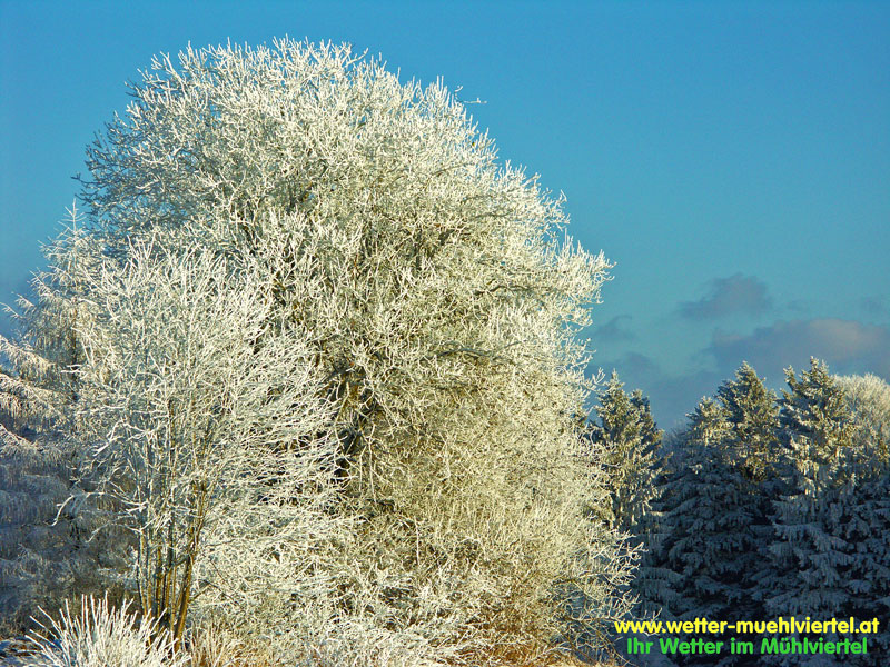 Winterfoto