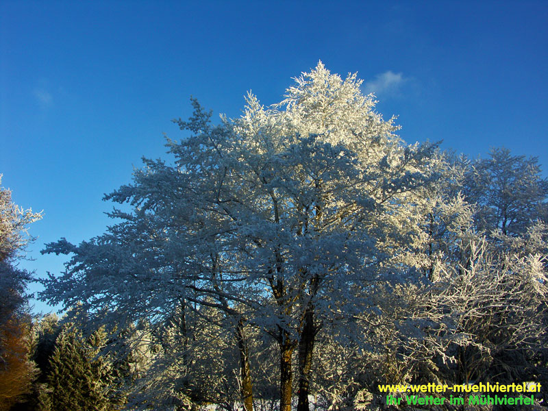Winterfoto