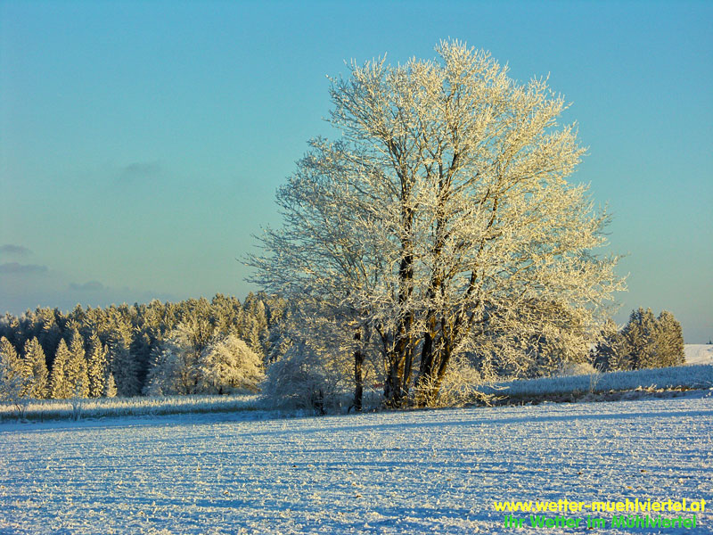 Winterfoto