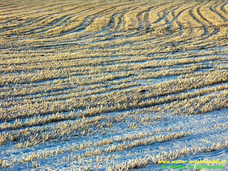 Winterfoto