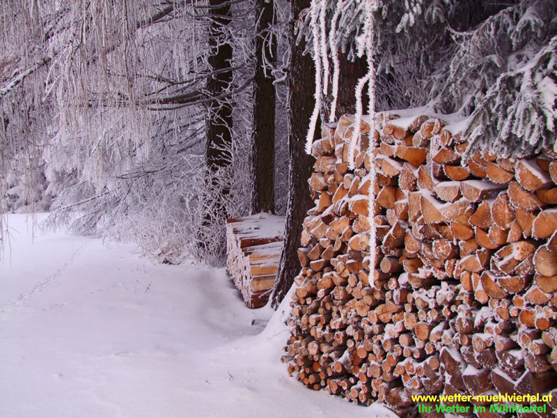 Winterfoto