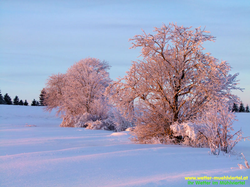 Winterfoto