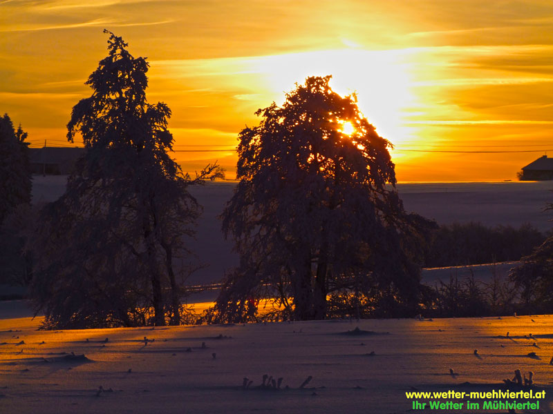 Winterfoto