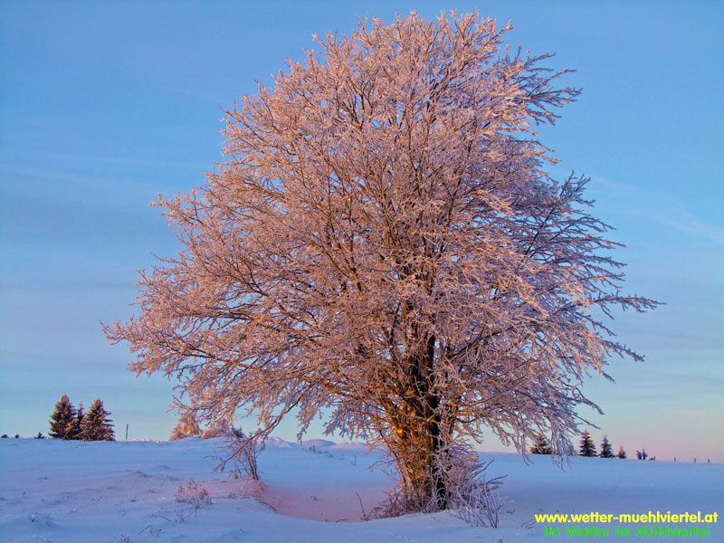 Winterfoto