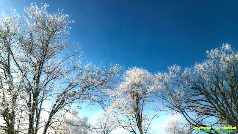 Winterfoto