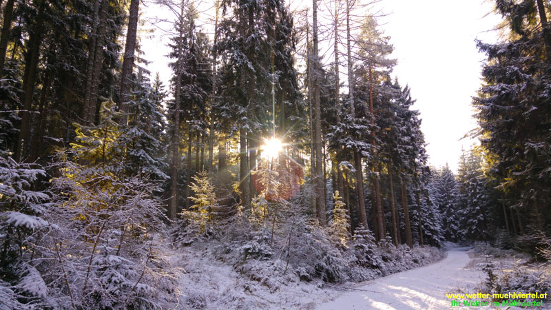 Winterfoto