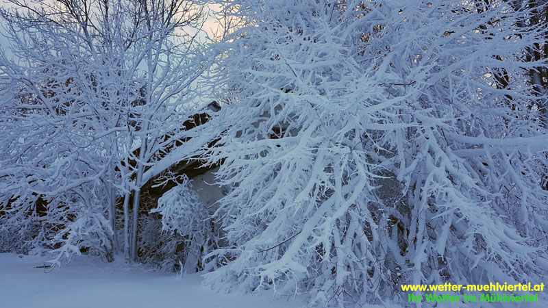 Winterfoto