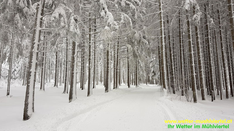 Winterfoto