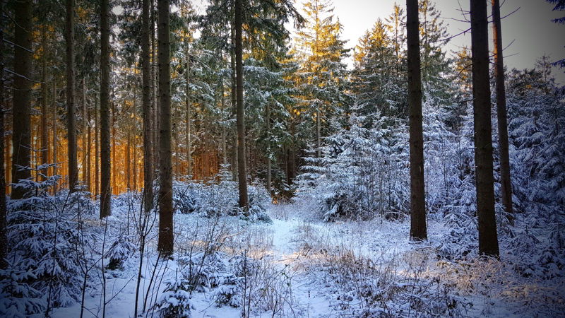 Winterfoto