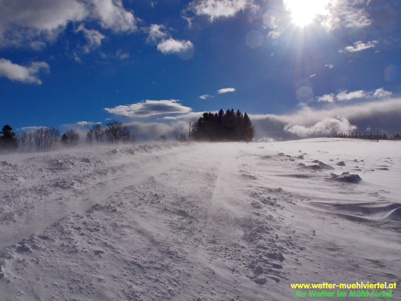 Winterfoto