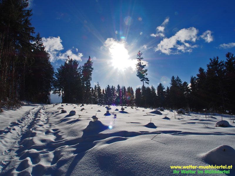 Winterfoto