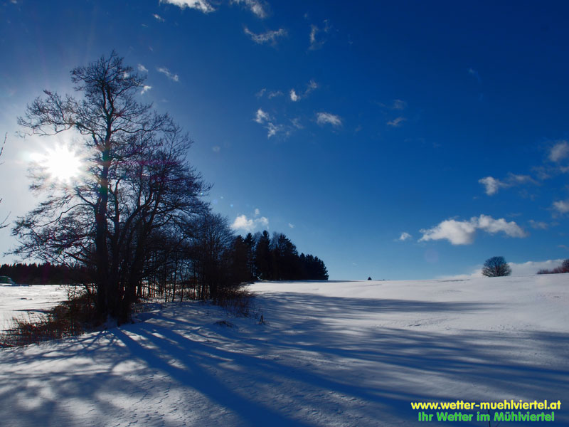 Winterfoto
