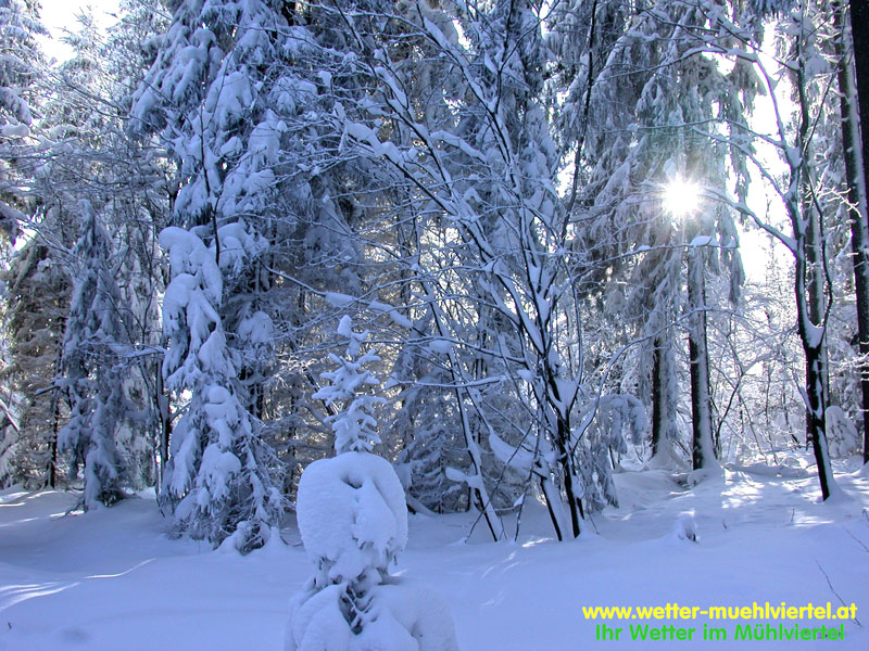 Winterfoto