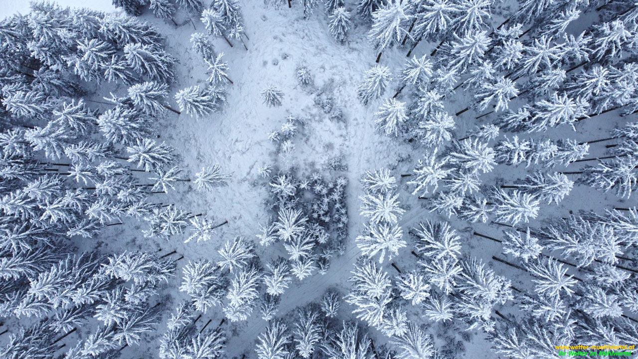 Winterfoto